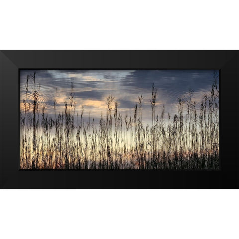 Reed Part II Black Modern Wood Framed Art Print by Steger, Uwe