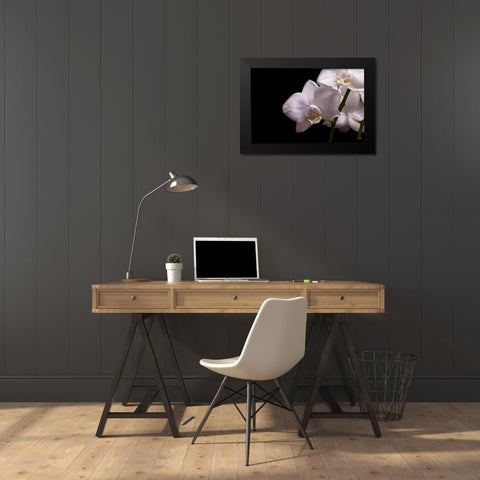 Orchidee III Black Modern Wood Framed Art Print by Brosius, Volker
