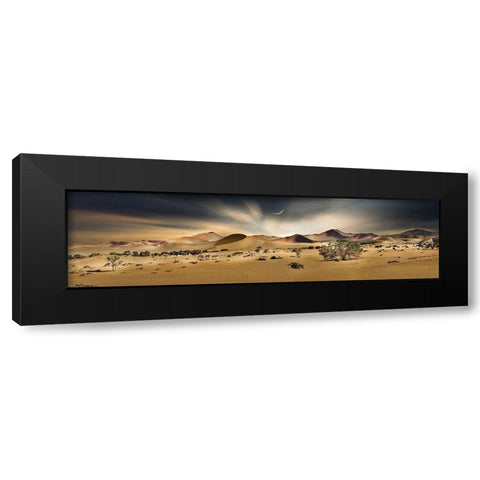 Namib Sandsea II Black Modern Wood Framed Art Print by Hillert, Peter