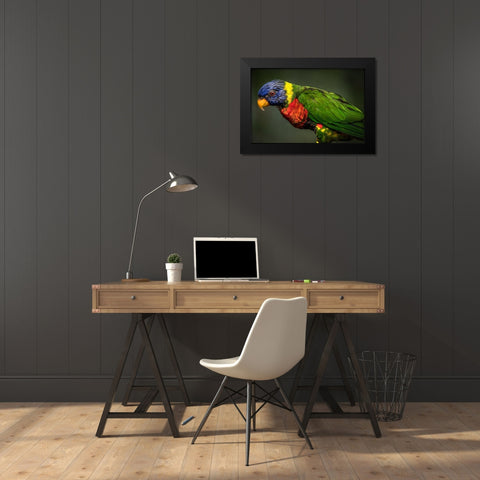 Green Bird Black Modern Wood Framed Art Print by Ronin