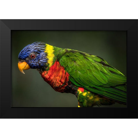 Green Bird Black Modern Wood Framed Art Print by Ronin