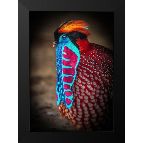 Tropical Bird Black Modern Wood Framed Art Print by Ronin