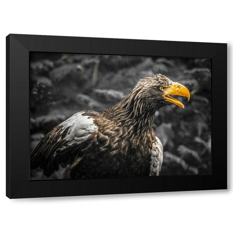 Stellar Eagle Black Modern Wood Framed Art Print by Ronin