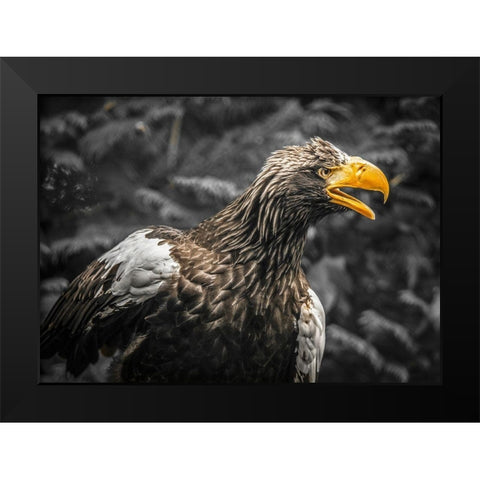 Stellar Eagle Black Modern Wood Framed Art Print by Ronin