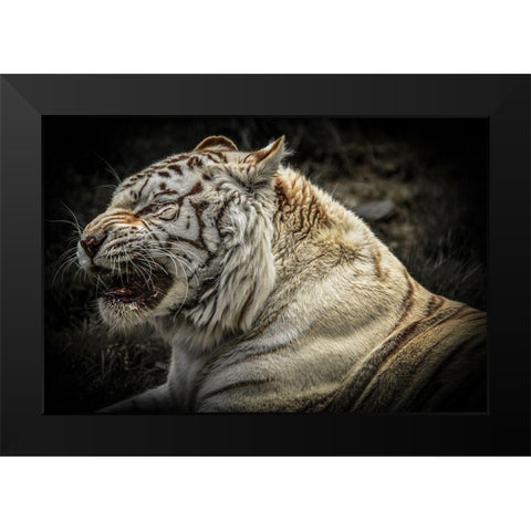 The Lygar Black Modern Wood Framed Art Print by Ronin