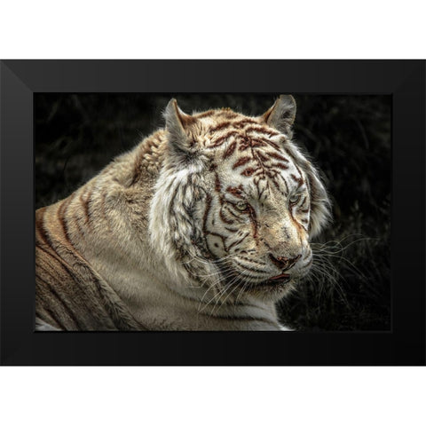 The Lygar II Black Modern Wood Framed Art Print by Ronin