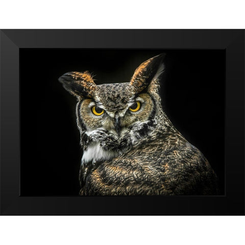 Wisdom Owl Black Modern Wood Framed Art Print by Ronin