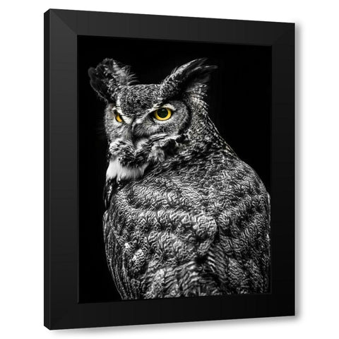 Wisdom Owl II Black Modern Wood Framed Art Print by Ronin