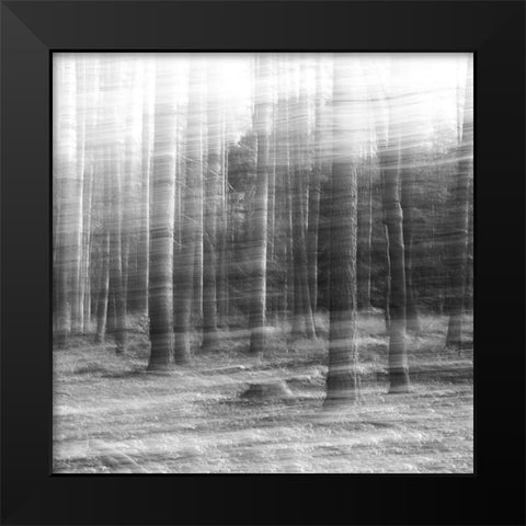 Day Break Black Modern Wood Framed Art Print by Stein, Oliver