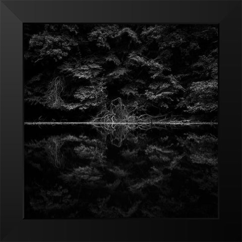 Necropolis Black Modern Wood Framed Art Print by Stein, Oliver