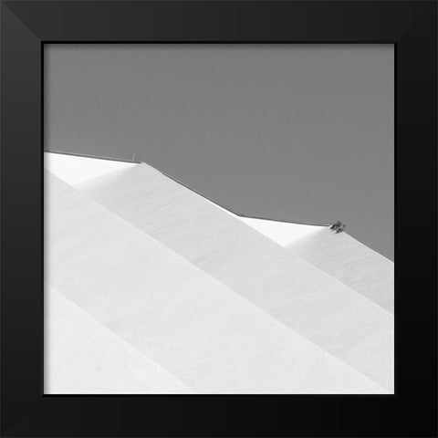 Three Doves Black Modern Wood Framed Art Print by Stein, Oliver