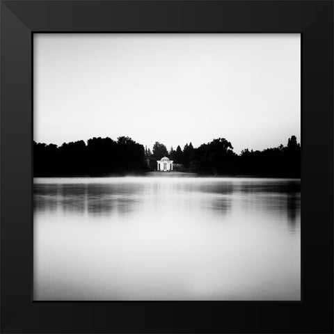 Swan Island Black Modern Wood Framed Art Print by Stein, Oliver