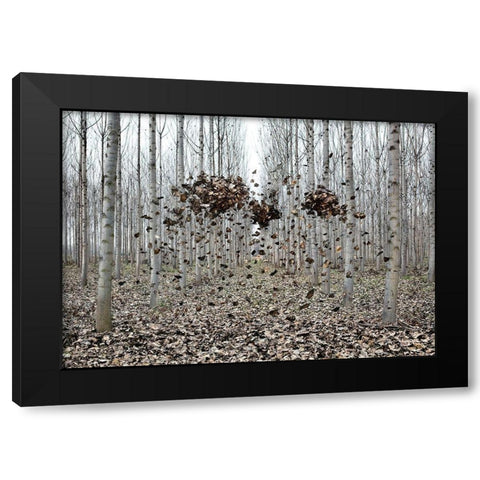 Pause NÃºmero I Black Modern Wood Framed Art Print with Double Matting by Vallinas Prieto, Miguel