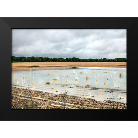 Pause NÃºmero XI Black Modern Wood Framed Art Print by Vallinas Prieto, Miguel