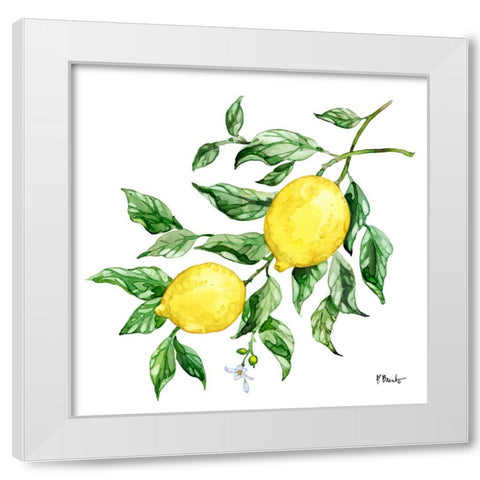Sicilian Lemons IV White Modern Wood Framed Art Print by Brent, Paul