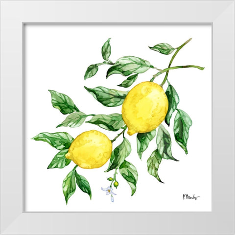 Sicilian Lemons IV White Modern Wood Framed Art Print by Brent, Paul