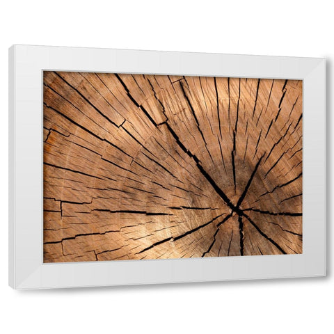 Abstract 4 White Modern Wood Framed Art Print by Lee, Rachel