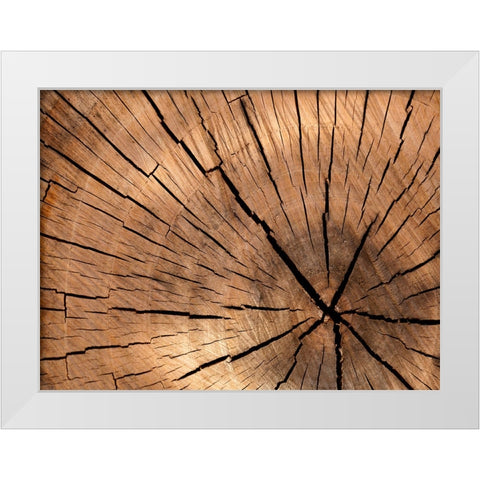 Abstract 4 White Modern Wood Framed Art Print by Lee, Rachel