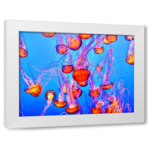 Abstract 7 White Modern Wood Framed Art Print by Lee, Rachel