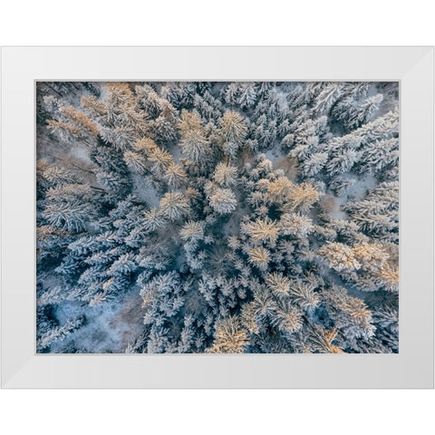 Aerial 11 White Modern Wood Framed Art Print by Lee, Rachel