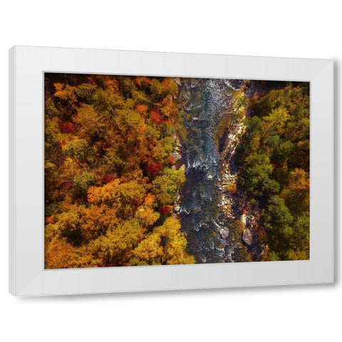 Aerial 14 White Modern Wood Framed Art Print by Lee, Rachel