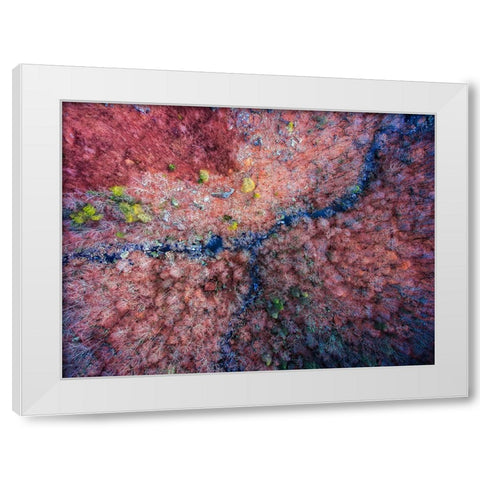 Aerial 2 White Modern Wood Framed Art Print by Lee, Rachel