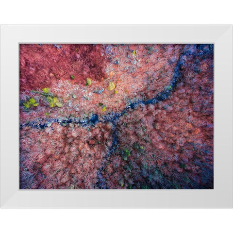 Aerial 2 White Modern Wood Framed Art Print by Lee, Rachel