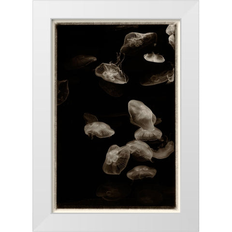 Antique Jellies 1 White Modern Wood Framed Art Print by Lee, Rachel