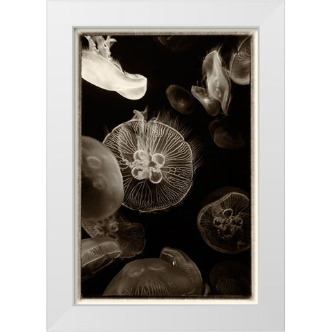 Antique Jellies 4 White Modern Wood Framed Art Print by Lee, Rachel