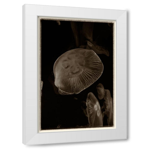 Antique Jellies 5 White Modern Wood Framed Art Print by Lee, Rachel