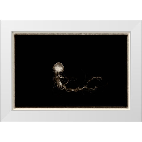 Antique Jellies 6 White Modern Wood Framed Art Print by Lee, Rachel