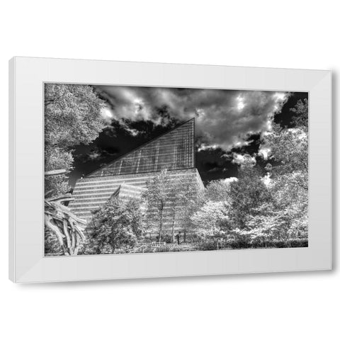 Aquarium 2 HDR BW White Modern Wood Framed Art Print by Lee, Rachel
