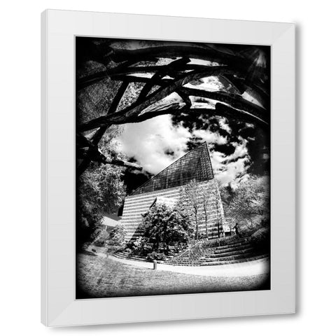 Aquarium Sun BW Holga White Modern Wood Framed Art Print by Lee, Rachel