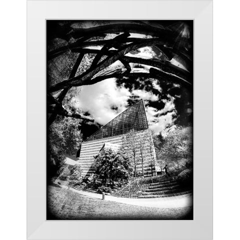 Aquarium Sun BW Holga White Modern Wood Framed Art Print by Lee, Rachel