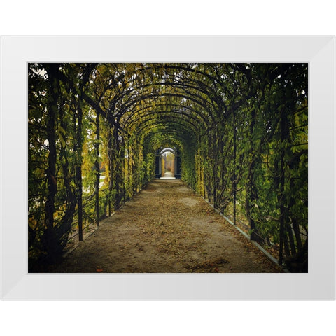 Architectural 3 White Modern Wood Framed Art Print by Lee, Rachel