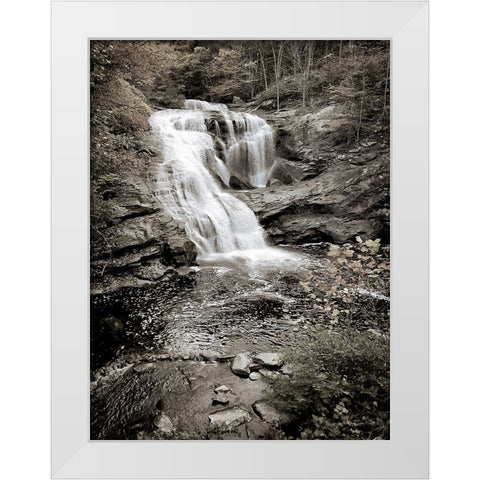 Bald River Falls Sepia White Modern Wood Framed Art Print by Lee, Rachel