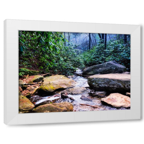 Benton Falls 2 White Modern Wood Framed Art Print by Lee, Rachel