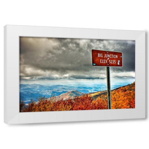 Big Junction White Modern Wood Framed Art Print by Lee, Rachel