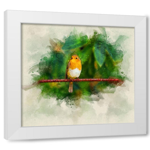 Bird 17 Watercolor White Modern Wood Framed Art Print by Lee, Rachel