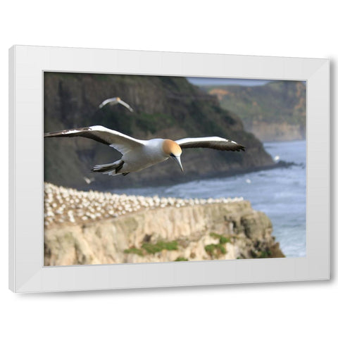 Bird 19 White Modern Wood Framed Art Print by Lee, Rachel