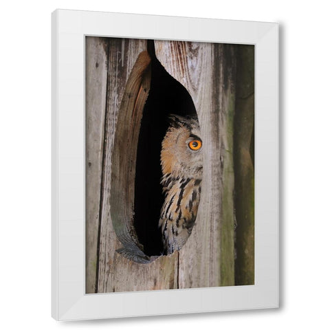 Bird 21 White Modern Wood Framed Art Print by Lee, Rachel