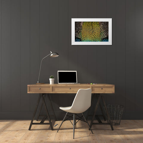 Bird 28 White Modern Wood Framed Art Print by Lee, Rachel
