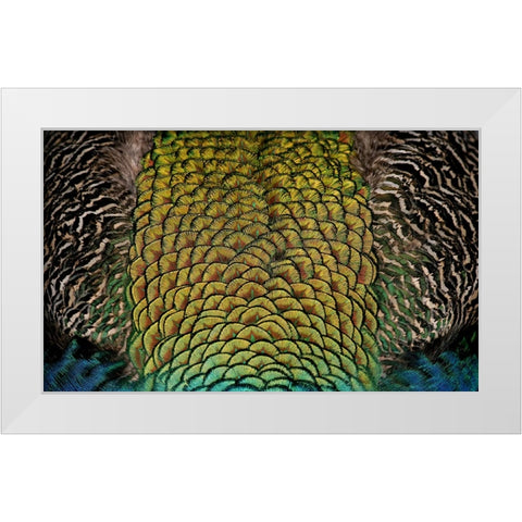 Bird 28 White Modern Wood Framed Art Print by Lee, Rachel