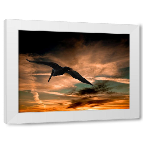 Bird 29 White Modern Wood Framed Art Print by Lee, Rachel