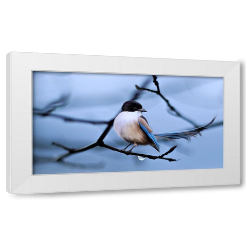 Bird 30 White Modern Wood Framed Art Print by Lee, Rachel