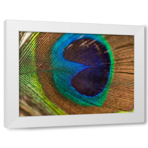 Bird 43 White Modern Wood Framed Art Print by Lee, Rachel