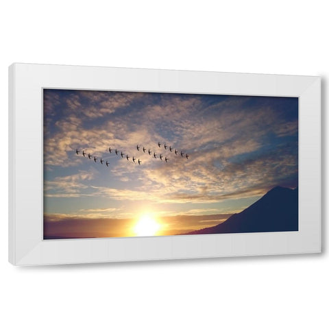 Bird 45 White Modern Wood Framed Art Print by Lee, Rachel