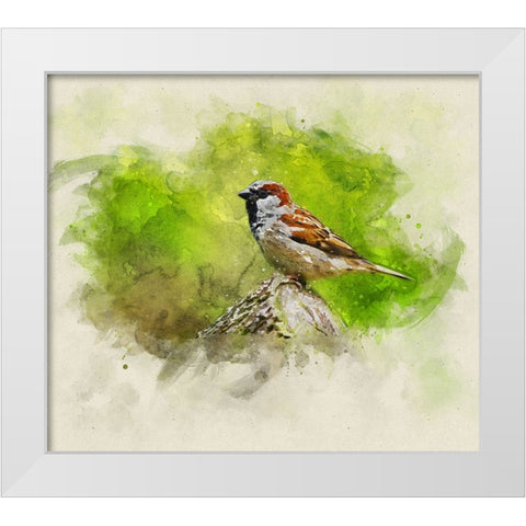 Bird 5 Watercolor White Modern Wood Framed Art Print by Lee, Rachel