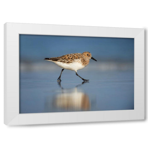 Bird 55 White Modern Wood Framed Art Print by Lee, Rachel