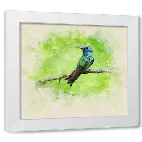 Bird 6 Watercolor White Modern Wood Framed Art Print by Lee, Rachel